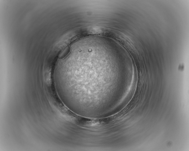 X0000093560267200710291025