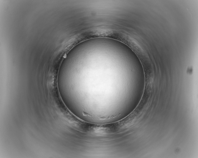 X0000093560268200710291025