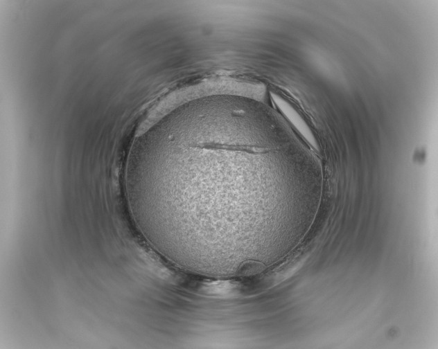 X0000093560269200710291025