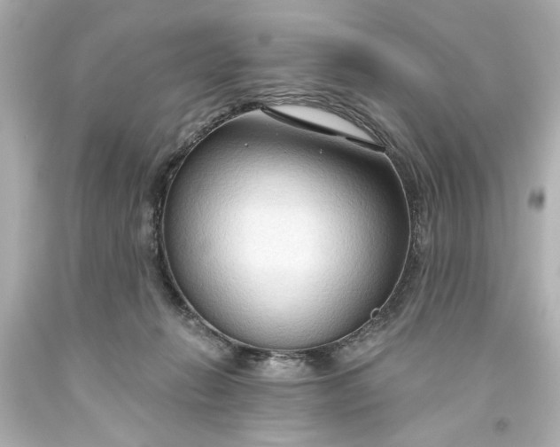 X0000093560270200710291025