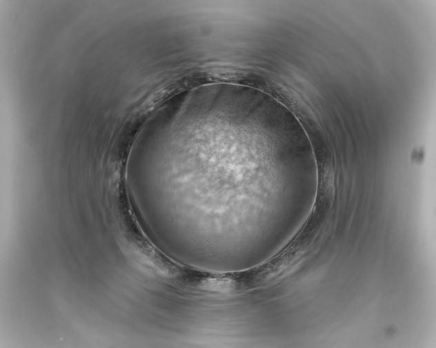 X0000093560271200710291025