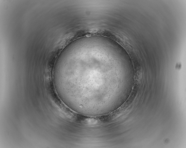 X0000093560272200710291025