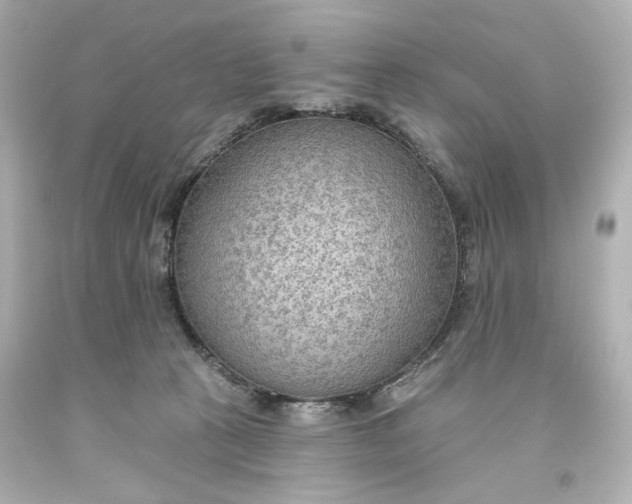 X0000093560273200710291025