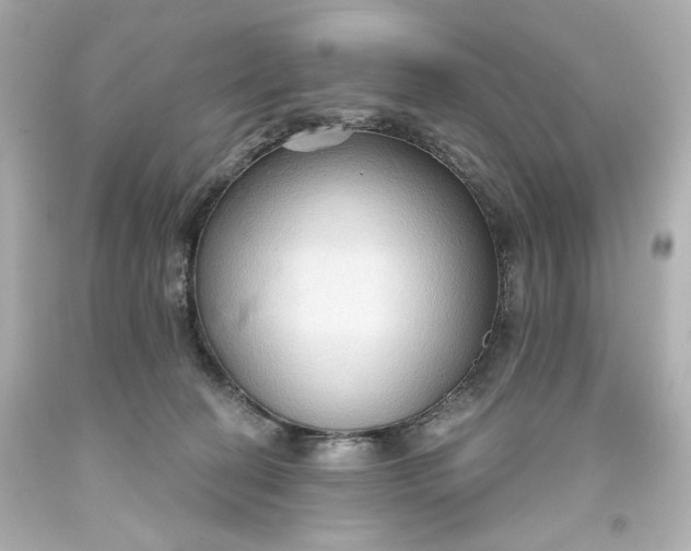 X0000093560274200710291025