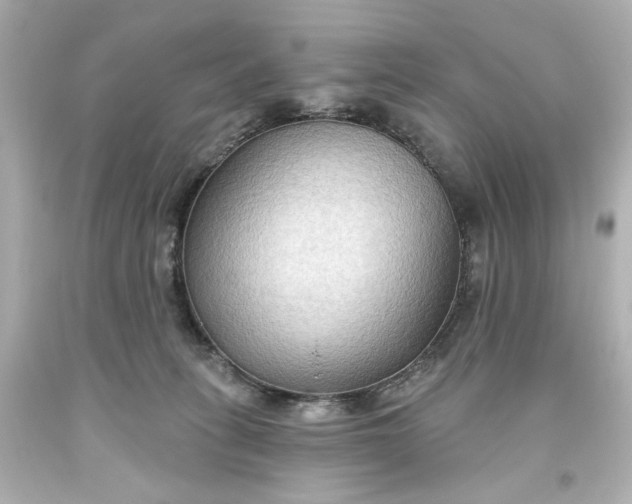 X0000093560275200710291025