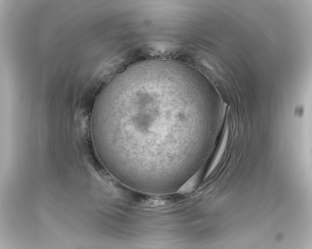 X0000093560276200710291025