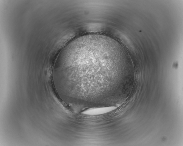 X0000093560277200710291025