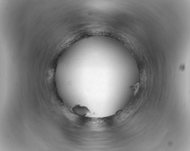 X0000093560278200710291025