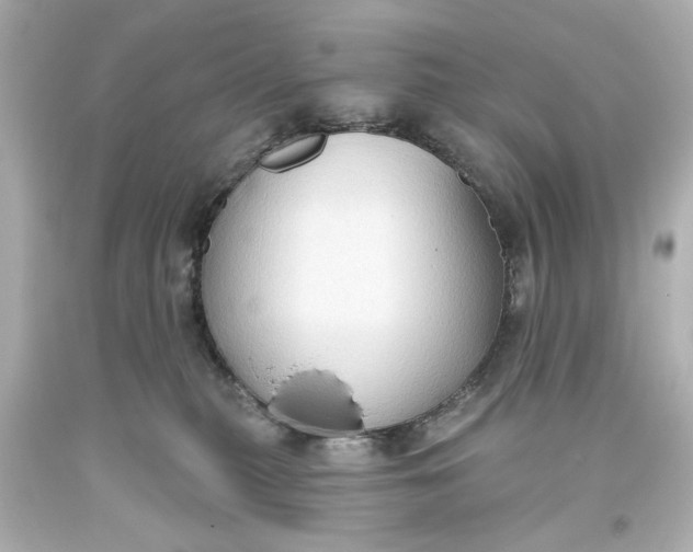 X0000093560279200710291025