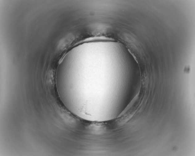 X0000093560280200710291025