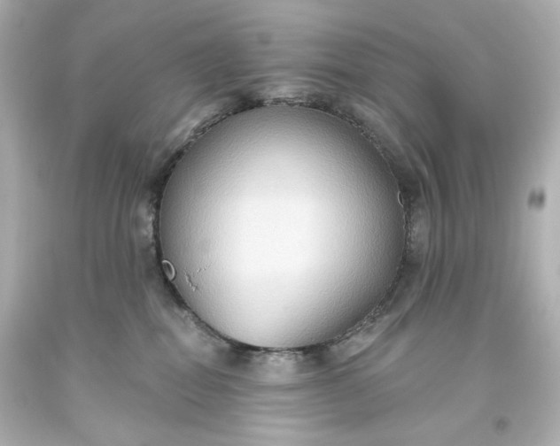 X0000093560282200710291025