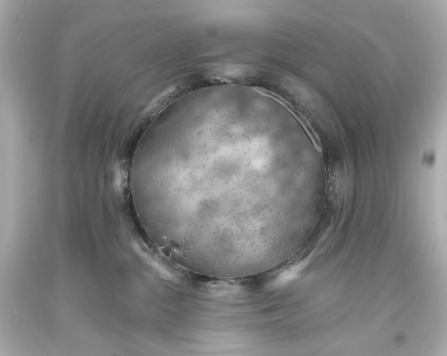 X0000093560284200710291025