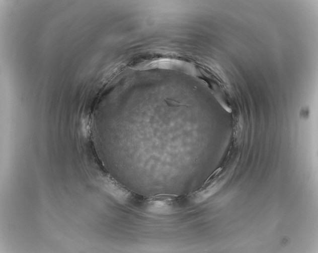 X0000093560285200710291025