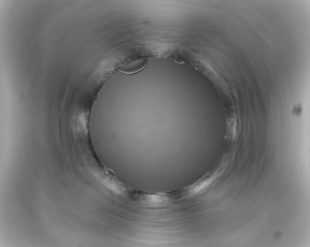 X0000093560286200710291025