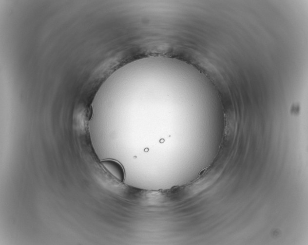 X0000093560287200710291025