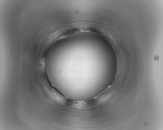 X0000093560288200710291025