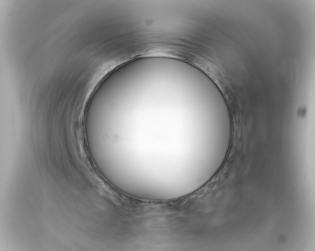 X0000093560289200710291025