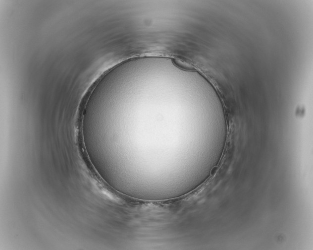 X0000093560290200710291025