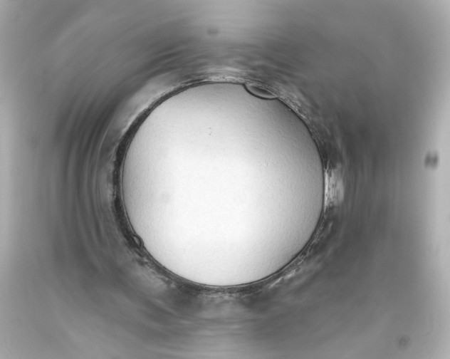 X0000093560291200710291025