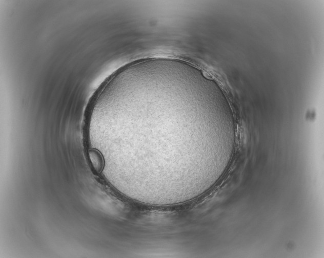 X0000093560292200710291025