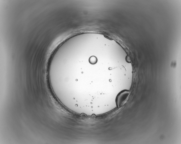 X0000093560293200710291025