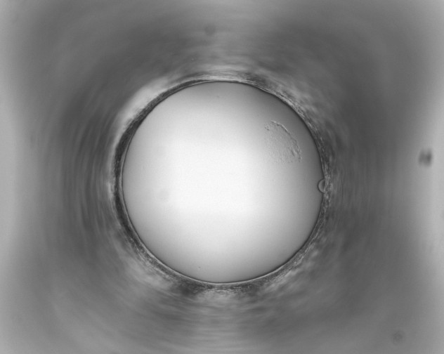 X0000093560294200710291025