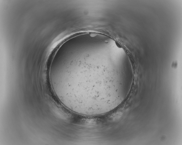 X0000093560295200710291025