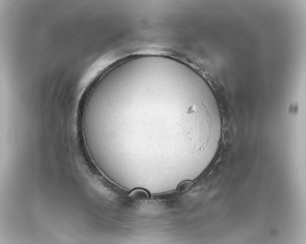 X0000093560296200710291025