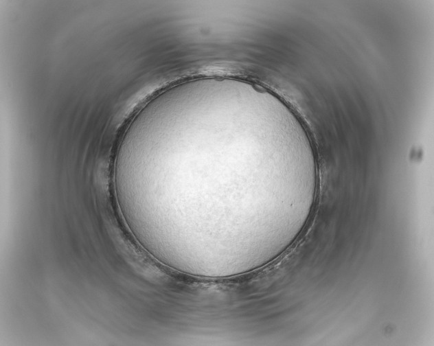 X0000093560297200710291025