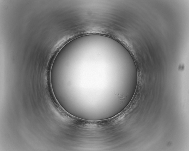 X0000093560298200710291025