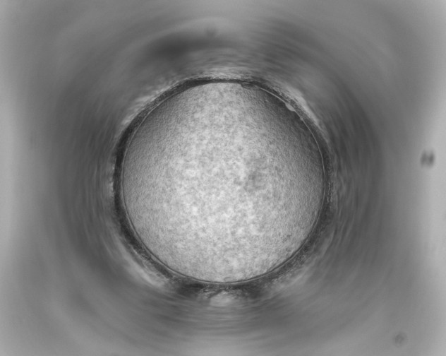 X0000093560299200710291025