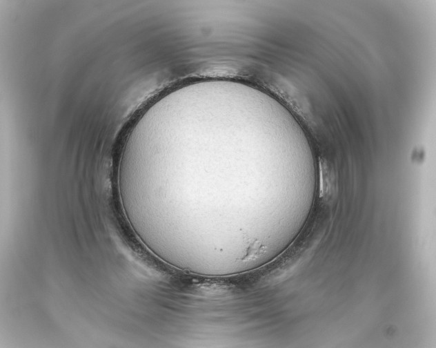 X0000093560300200710291025