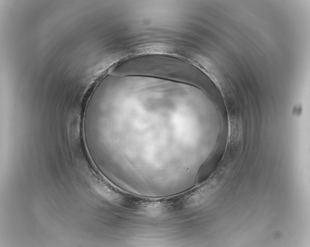 X0000093560301200710291025