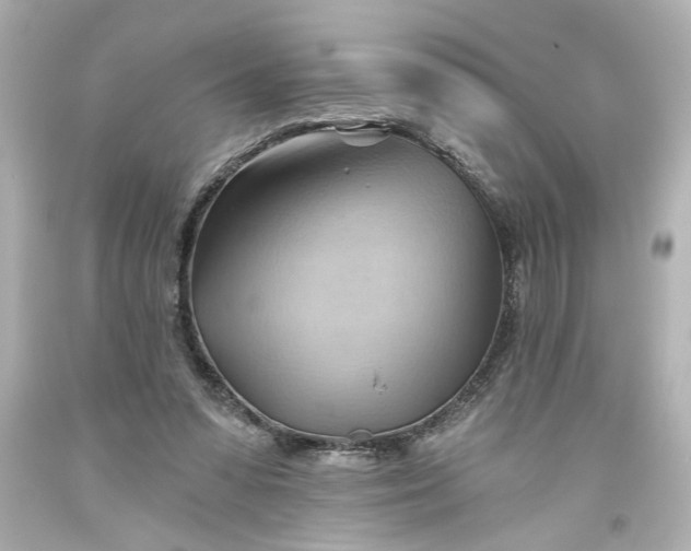 X0000093560303200710291025