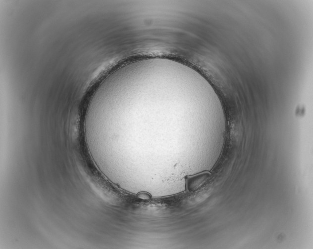 X0000093560304200710291025