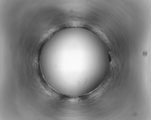 X0000093560306200710291025