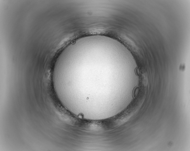 X0000093560308200710291024