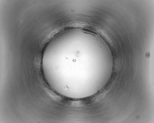 X0000093560309200710291024