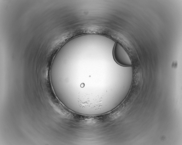 X0000093560310200710291024