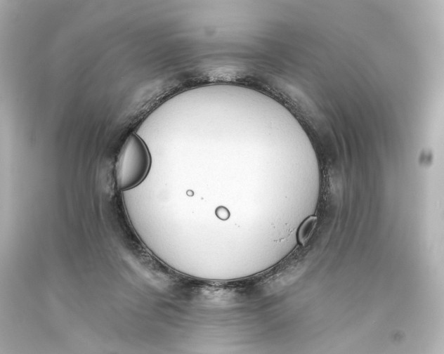 X0000093560311200710291024