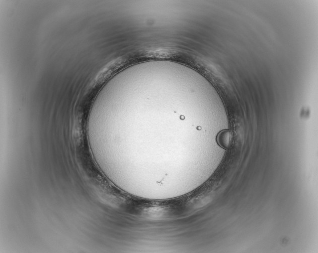 X0000093560312200710291024