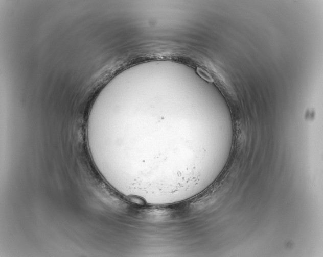 X0000093560313200710291024