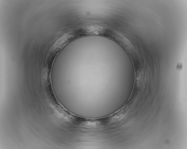 X0000093560314200710291024