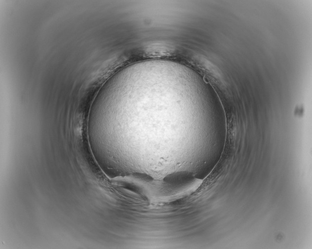 X0000093560315200710291024