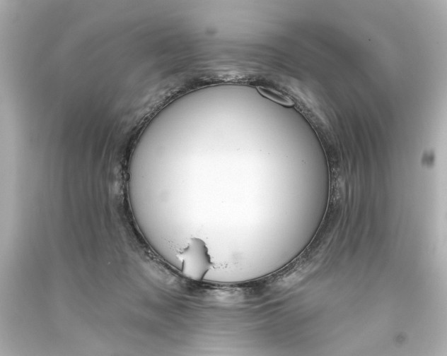 X0000093560317200710291024