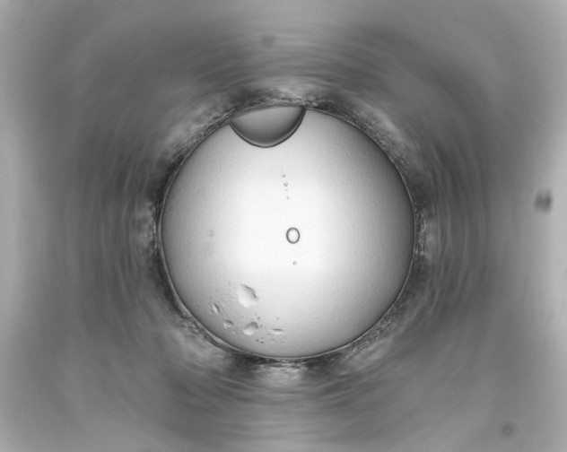 X0000093560318200710291024