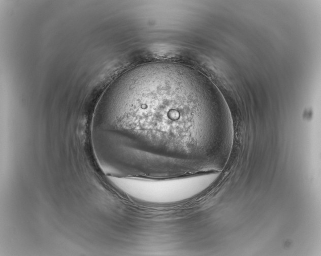 X0000093560319200710291024