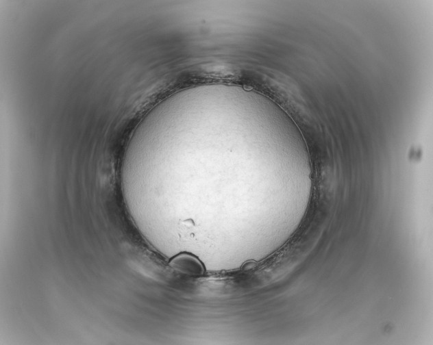 X0000093560320200710291024