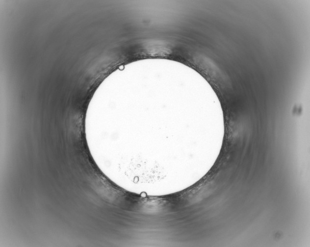 X0000093560321200710291024