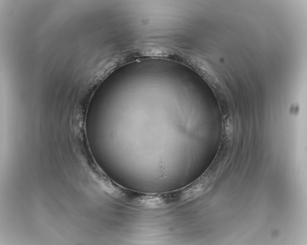 X0000093560322200710291024